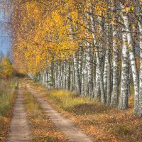 **** :: Елизавета .