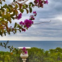 Ностальгия по морю :: Ольга 