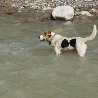 Спасение от жары :: Наталия Григорьева