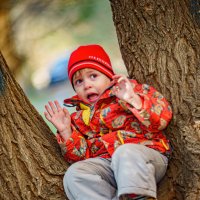 Позирует :: Алексей Копцев 