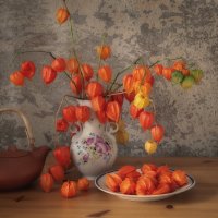 Натюрморт с  физалисом. :: Лилия *