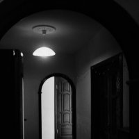 * :: Василий Палий