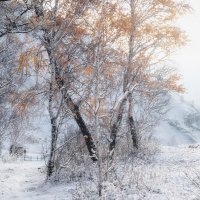 Хрупкость первого снега :: Марина Фомина. Хрупкость первого снега :: Марина Фомина.