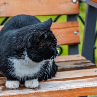 я устал и отдыхаю :: Дмитрий Лупандин