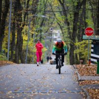 Осень в парке :: Evgeny Mameev