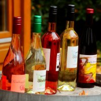 Дары осени :: Юрий. Шмаков Дары осени :: Юрий. Шмаков