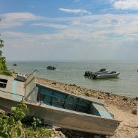 Бугудония :: Оксана Новик 