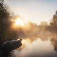 Туманное утро :: Ирина 