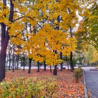 В осеннем парке :: Irene Irene В осеннем парке :: Irene Irene