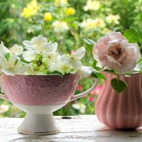 Натюрморт. :: жанна нечаева