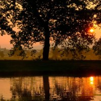 Утро :: Юрий. Шмаков Утро :: Юрий. Шмаков