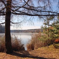 Вороново :: ZNatasha -