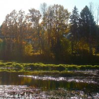 *** :: gawrilа - dan