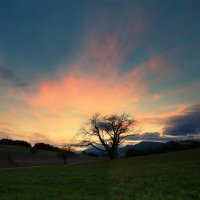 evening :: Elena Wymann evening :: Elena Wymann