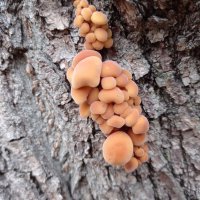 Скоро зима... :: Александр Чеботарь Скоро зима... :: Александр Чеботарь