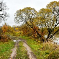 Дорога рыбаков. :: Милешкин Владимир Алексеевич 