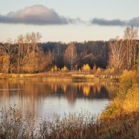 октябрьский вечер :: Galina 