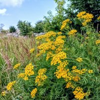 Прогулка по променаду Круизного терминала :: Veera V Прогулка по променаду Круизного терминала :: Veera V