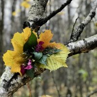 Осенний букет. :: Любовь 