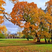Золотая осень :: Хватова Марина Золотая осень :: Хватова Марина