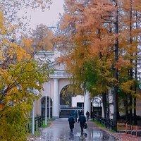Дождлиаый осенний день :: Сергей Кочнев