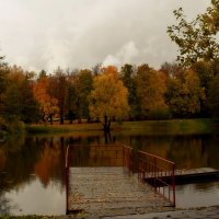 Тихо бродит уходящий Октябрь. :: Татьяна Помогалова