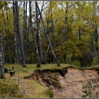 Осень наступила.... :: Aleksandr Gal Осень наступила.... :: Aleksandr Gal