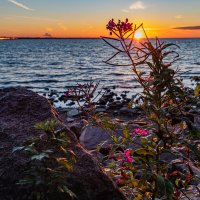 про закат :: navalon M