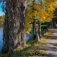 *** :: Геннадий Порохов