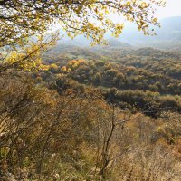 Горные луга :: LudMila 