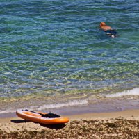 События / Репортаж :: Владислав Воровский 