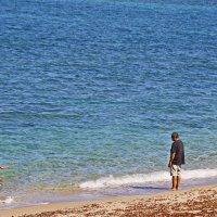 События / Репортаж :: Владислав Воровский 