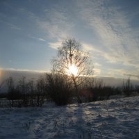 Зима :: Anna Ivanova