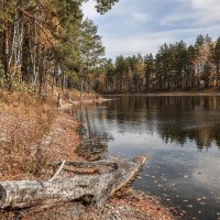 Осень :: Владимир Новиков