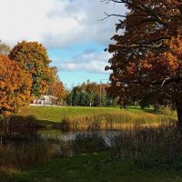 Октябрь,как художник,как выскочка..Ходит,хваста,надменен и важен :: Татьян@ Ивановна