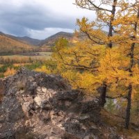 Осенняя пора :: Марина Фомина.