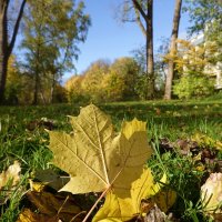 Кроет уж лист золотой Влажную землю..... :: Галина 