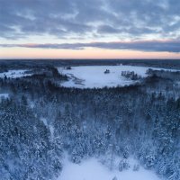 Лагерь в лесу :: Николай Капранов 