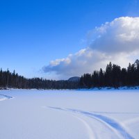 Прекрасный выходной. :: юрий Амосов