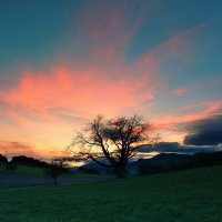 sunset :: Elena Wymann sunset :: Elena Wymann