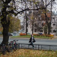 вдогонку :: sv.kaschuk 