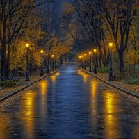 Вечер в парке :: Aleksey Afonin Вечер в парке :: Aleksey Afonin