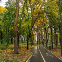 В парке :: Евгений Мухин