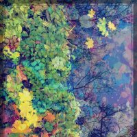 Природный натюрморд :: Андрей Зайцев