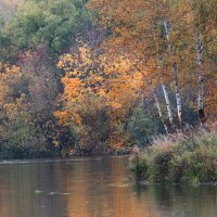 Красивая осень. :: Владимир Безбородов Красивая осень. :: Владимир Безбородов