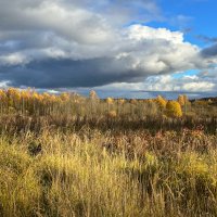 Осень :: Galina 