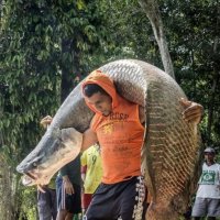 "Поцелуй меня , удача..." (С) :: Валерий Кокорев