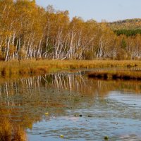 Осень у озера. :: nadyasilyuk Вознюк Осень у озера. :: nadyasilyuk Вознюк