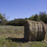 *** :: Елена Агеева *** :: Елена Агеева