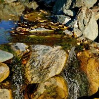 " Японский сад " Краснодар... :: Николай Саржанов